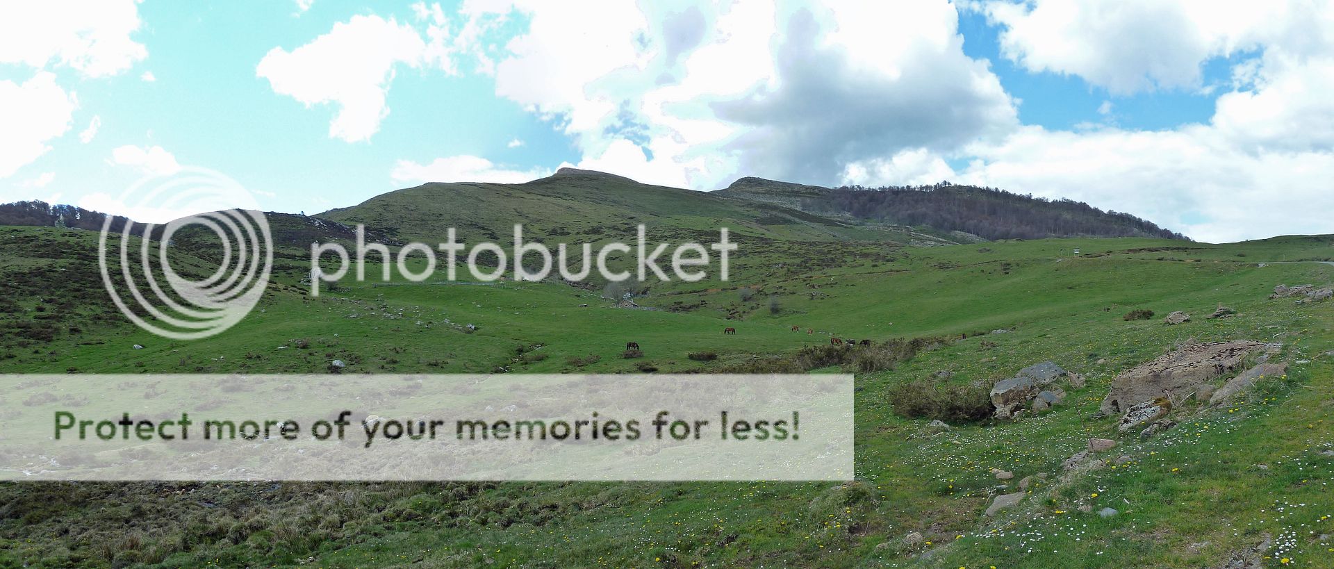 Photo Sharing and Video Hosting at Photobucket