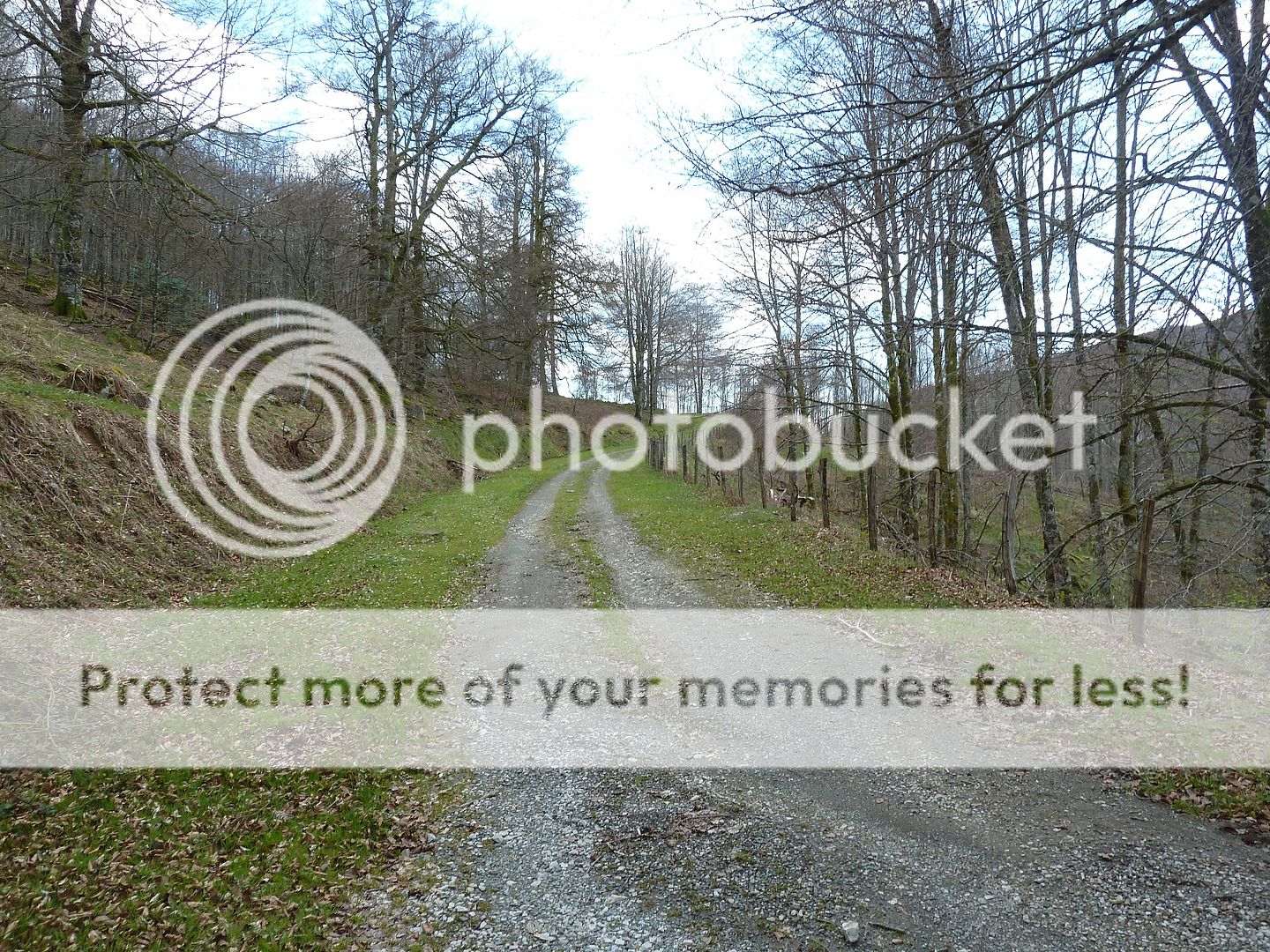 Photo Sharing and Video Hosting at Photobucket