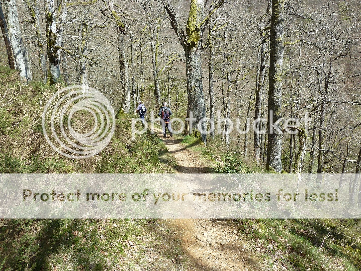 Photo Sharing and Video Hosting at Photobucket