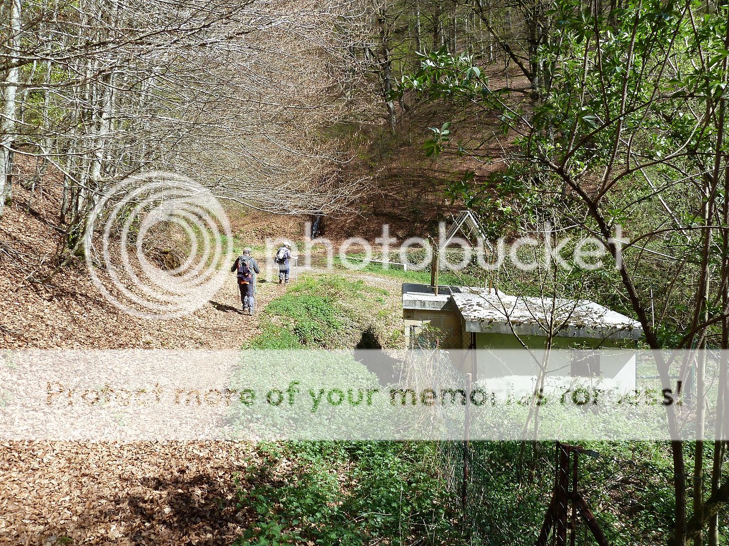 Photo Sharing and Video Hosting at Photobucket