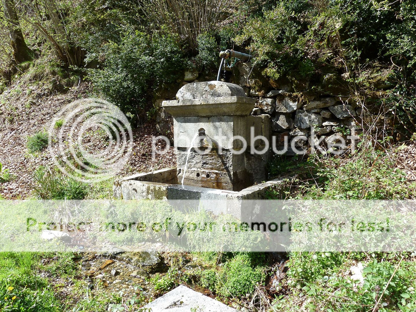 Photo Sharing and Video Hosting at Photobucket
