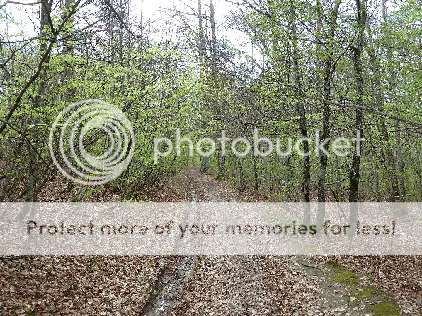 Photo Sharing and Video Hosting at Photobucket