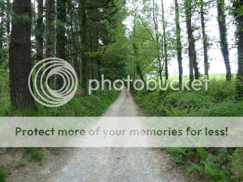 Photo Sharing and otobucVideo Hosting at Phket