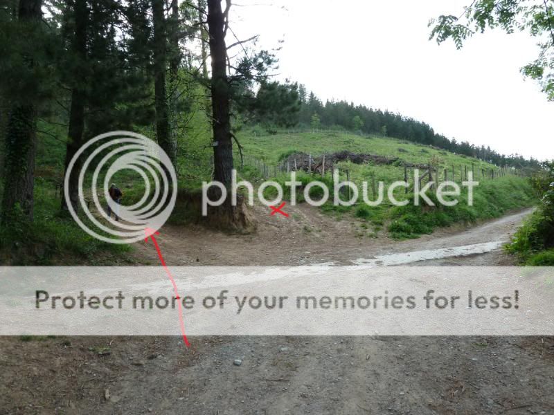 Photo Sharing and otobucVideo Hosting at Phket