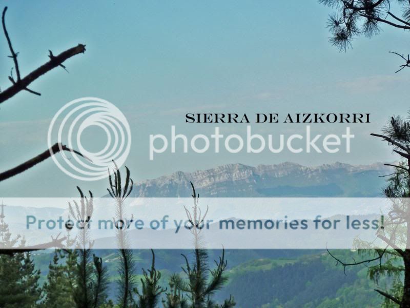 Photo Sharing and otobucVideo Hosting at Phket