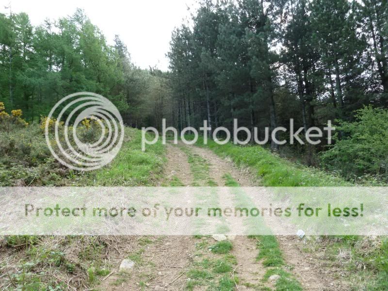 Photo Sharing and otobucVideo Hosting at Phket