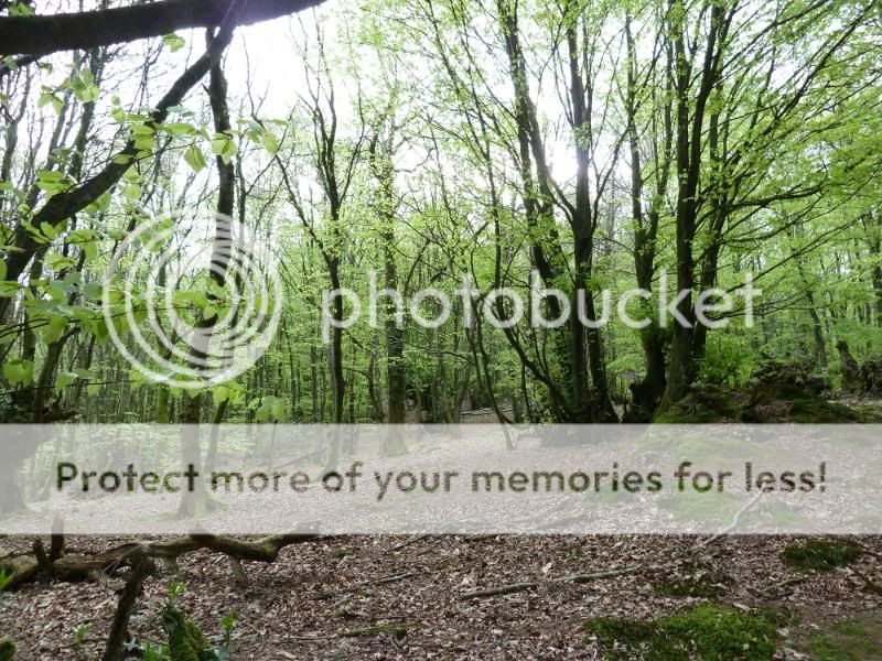Photo Sharing and otobucVideo Hosting at Phket