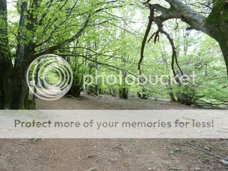 Photo Sharing and otobucVideo Hosting at Phket