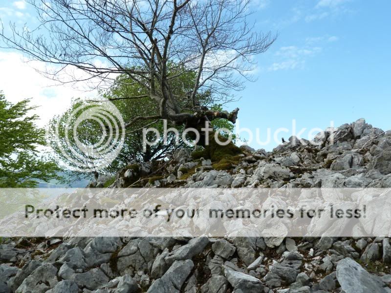 Photo Sharing and otobucVideo Hosting at Phket