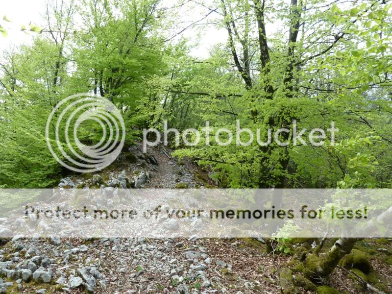 Photo Sharing and otobucVideo Hosting at Phket
