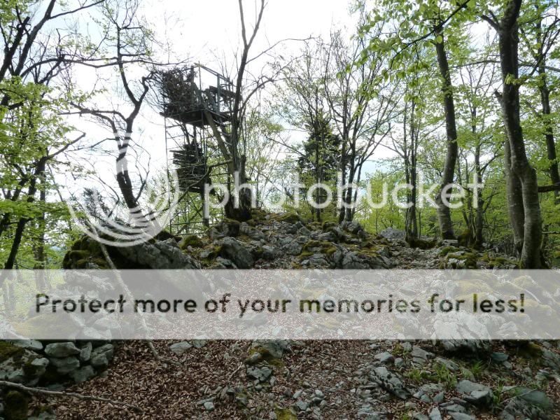 Photo Sharing and otobucVideo Hosting at Phket