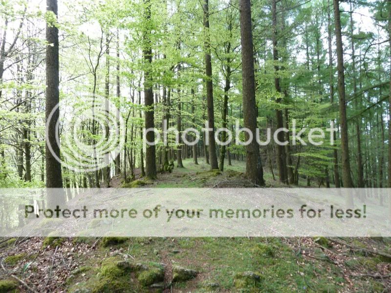 Photo Sharing and otobucVideo Hosting at Phket