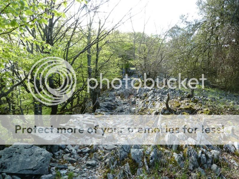 Photo Sharing and otobucVideo Hosting at Phket