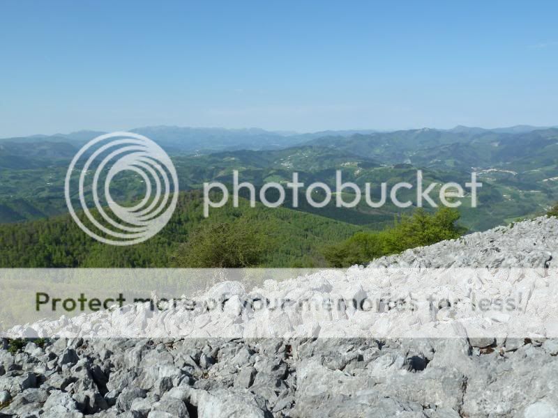 Photo Sharing and otobucVideo Hosting at Phket