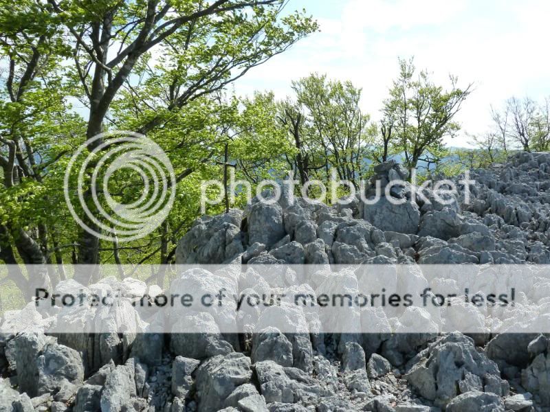 Photo Sharing and otobucVideo Hosting at Phket