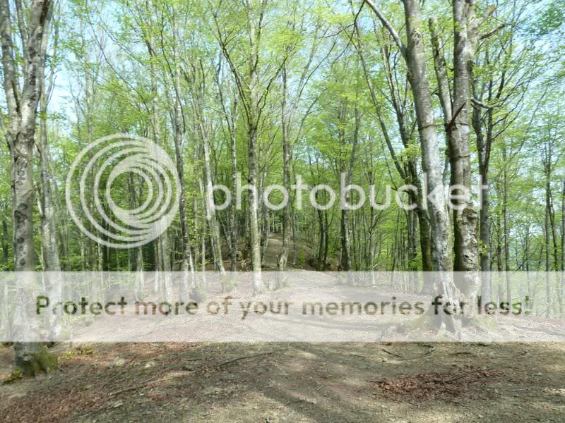 Photo Sharing and otobucVideo Hosting at Phket
