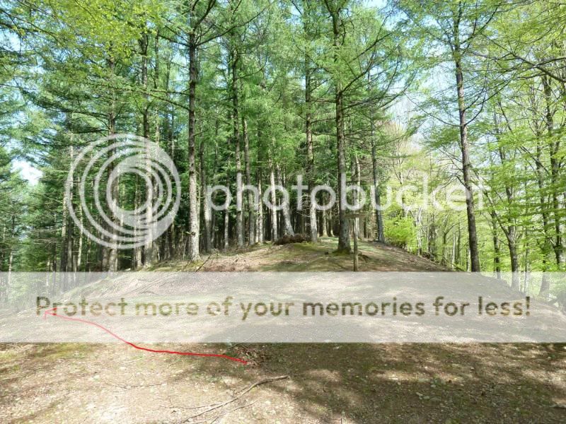 Photo Sharing and otobucVideo Hosting at Phket