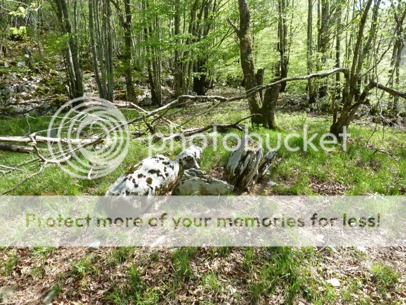 Photo Sharing and otobucVideo Hosting at Phket