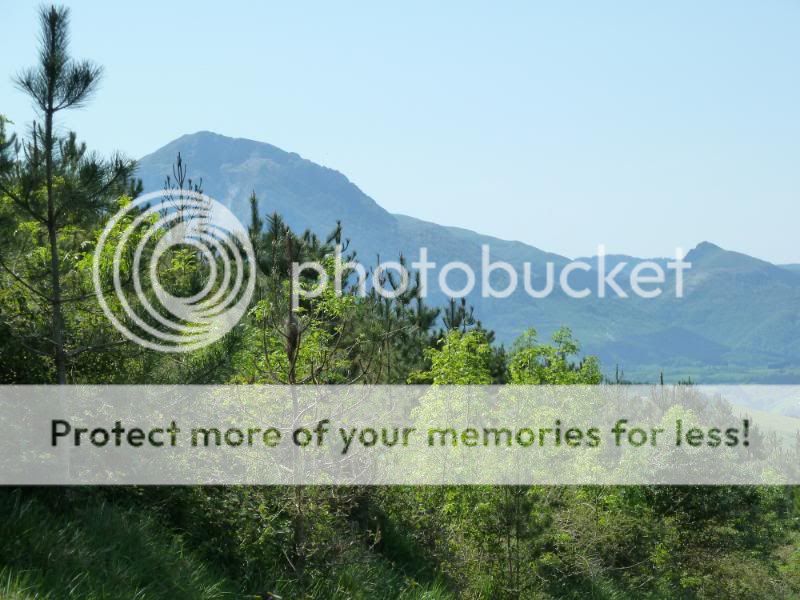 Photo Sharing and otobucVideo Hosting at Phket