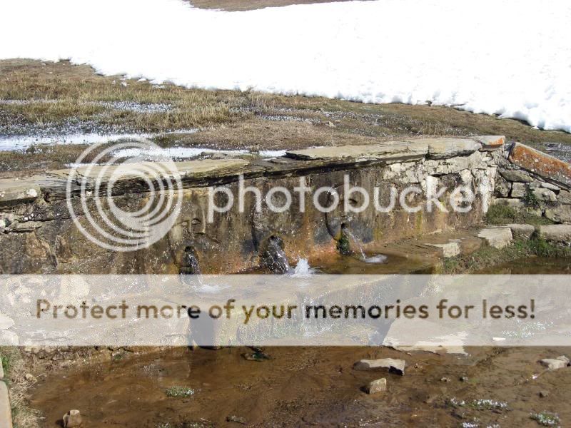 Photo Sharing and Video Hosting at Photobucket