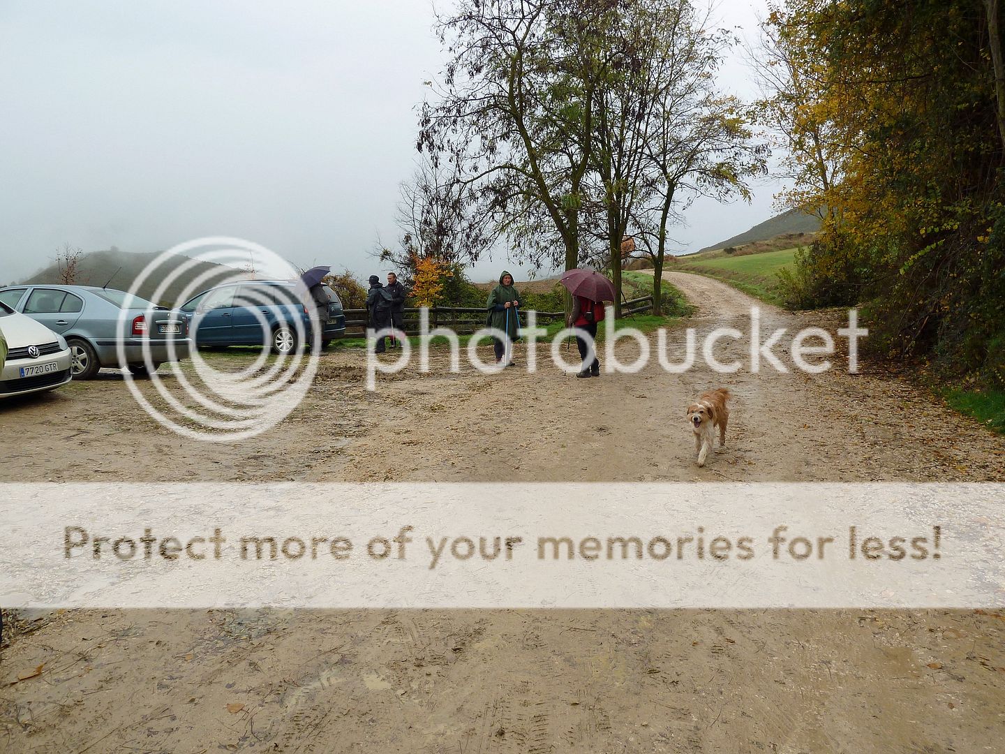 Photo Sharing and Video Hosting at Photobucket