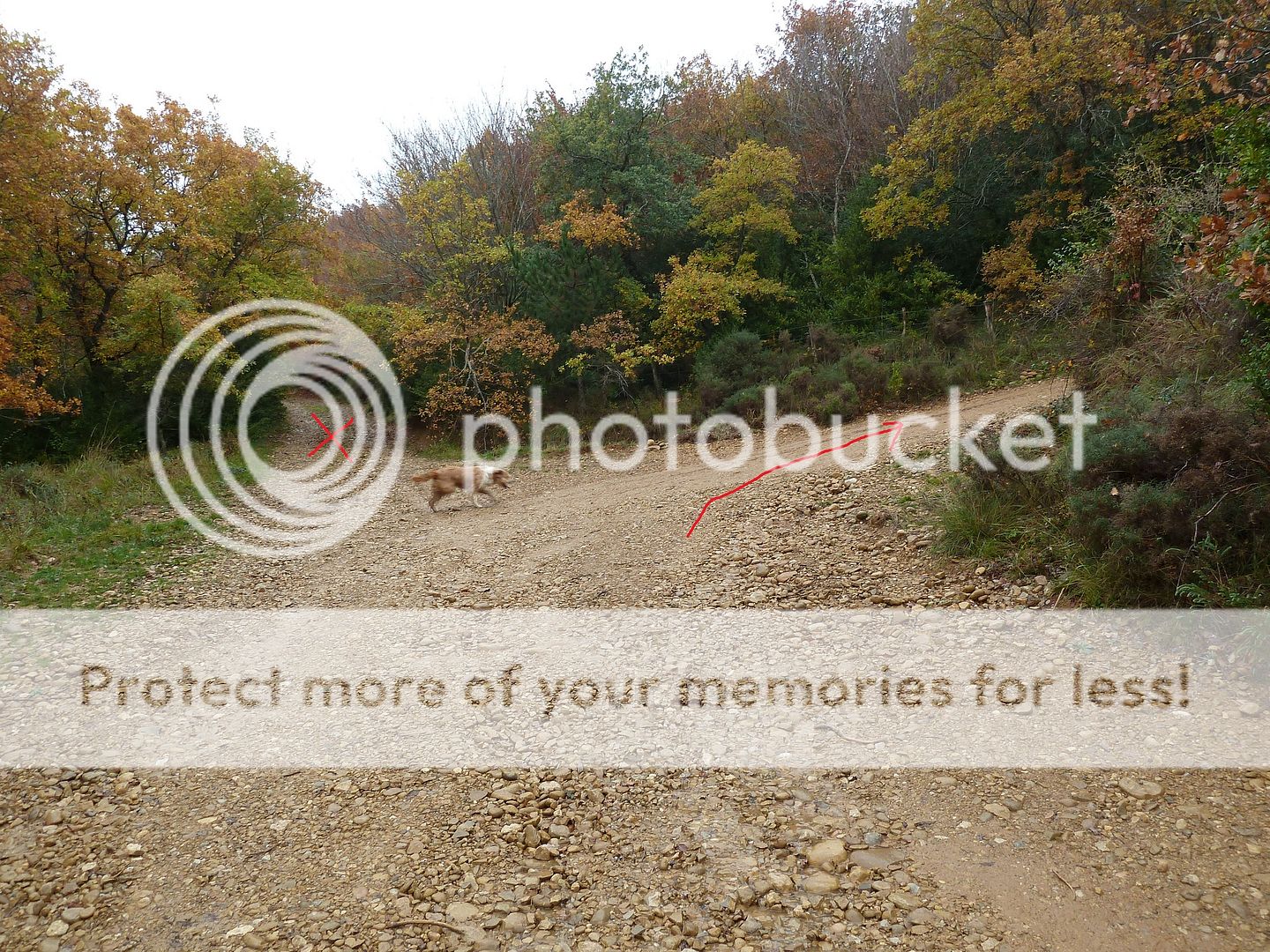Photo Sharing and Video Hosting at Photobucket