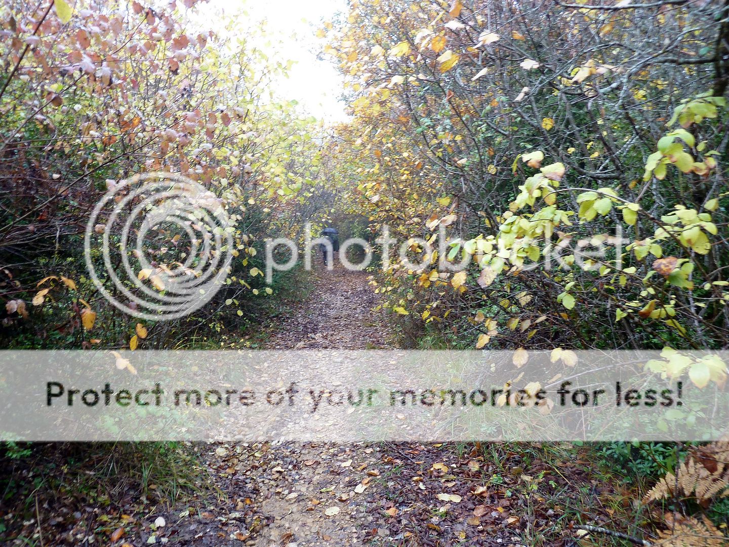 Photo Sharing and Video Hosting at Photobucket