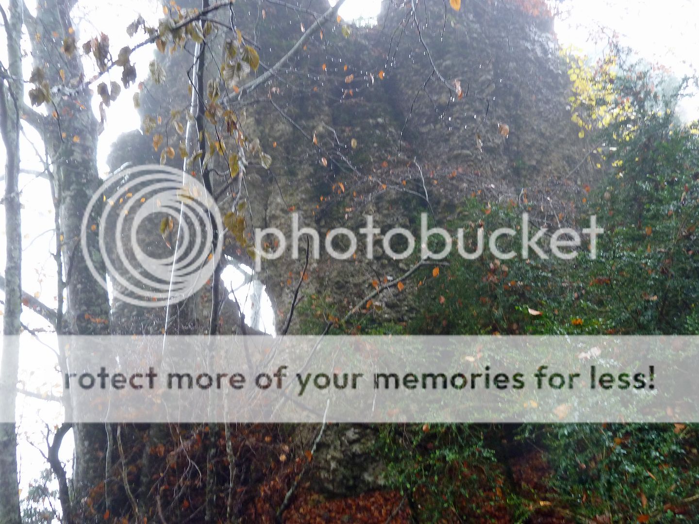 Photo Sharing and Video Hosting at Photobucket