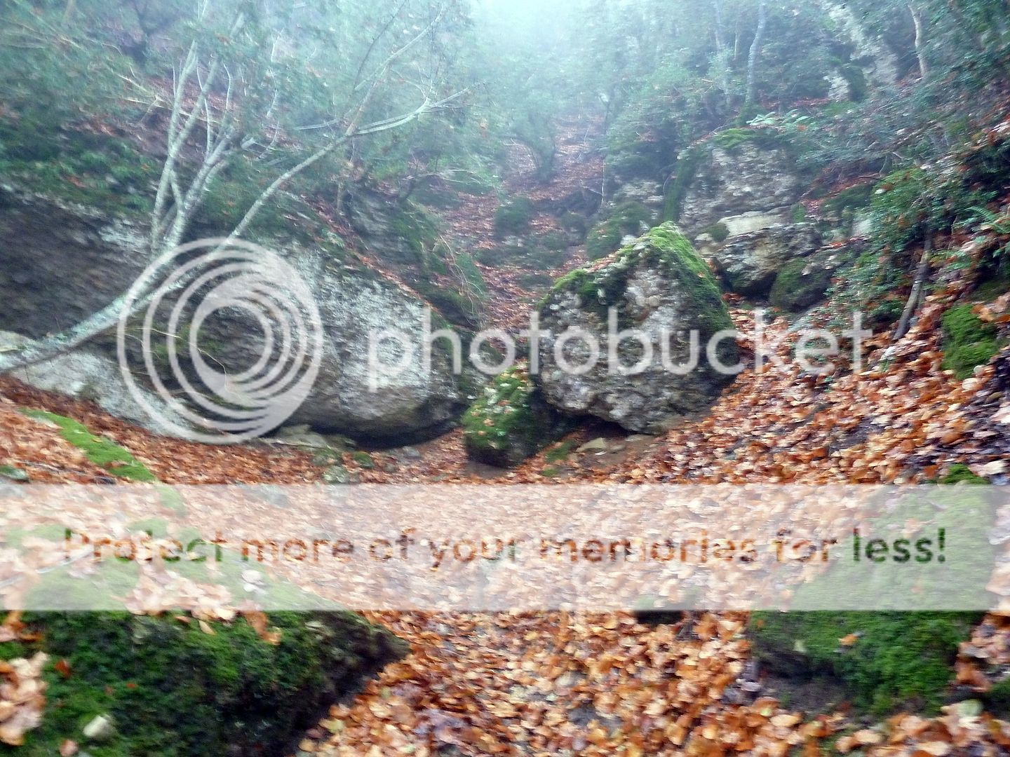 Photo Sharing and Video Hosting at Photobucket