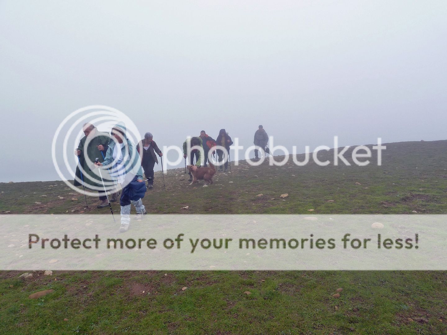 Photo Sharing and Video Hosting at Photobucket
