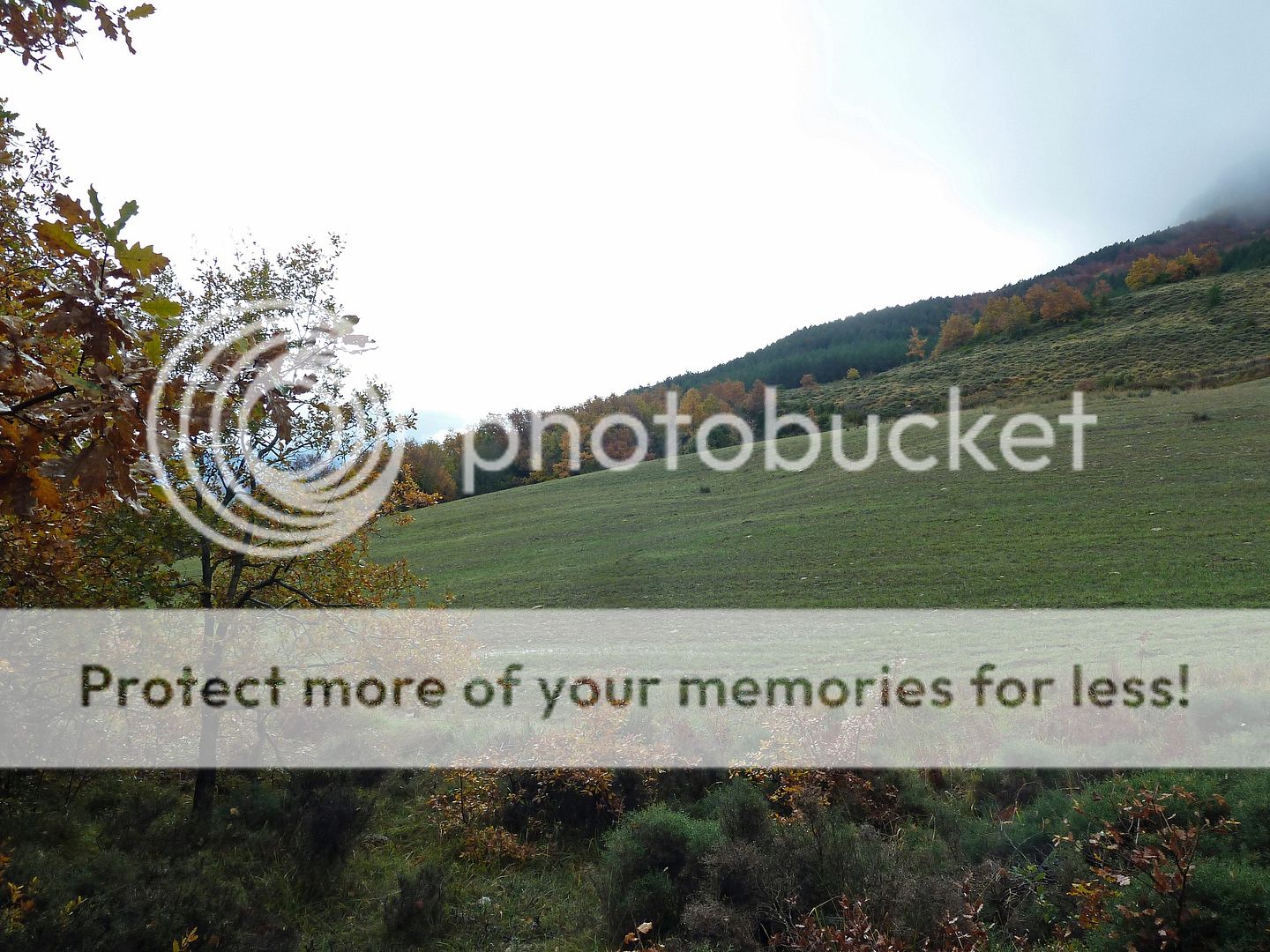 Photo Sharing and Video Hosting at Photobucket