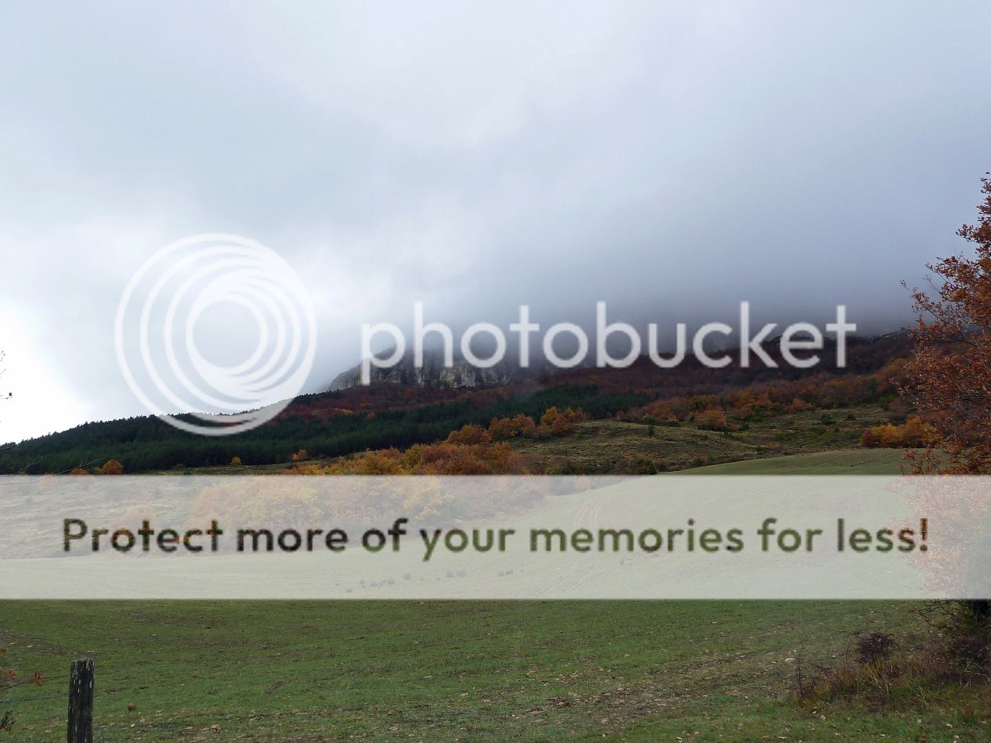 Photo Sharing and Video Hosting at Photobucket