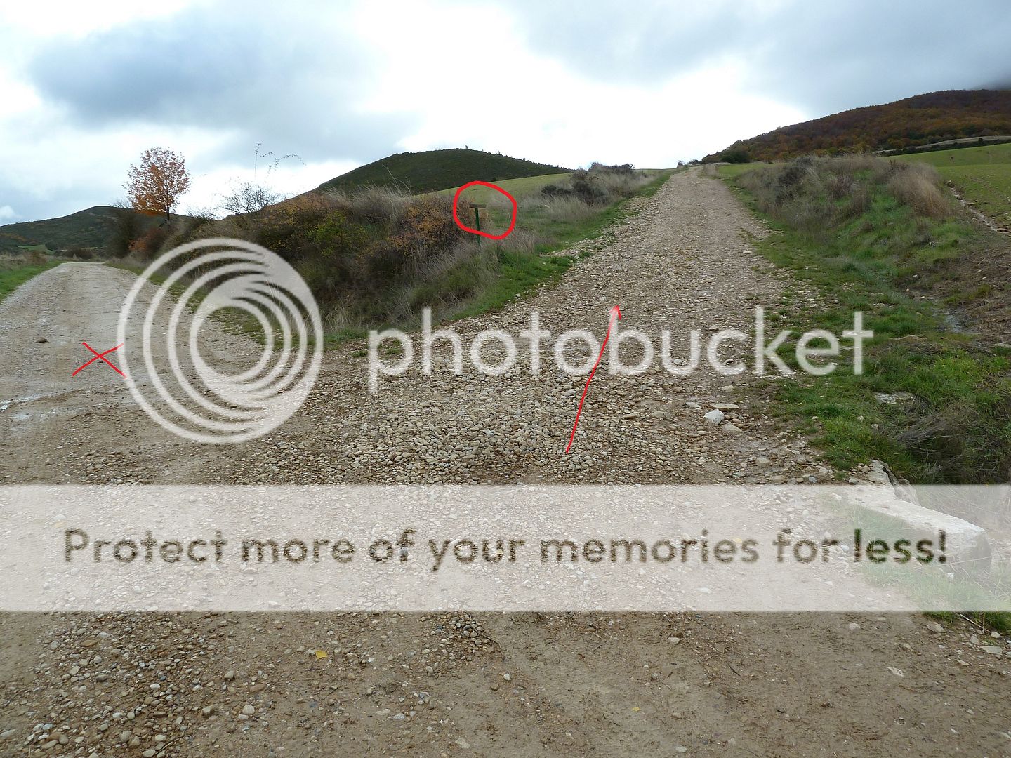 Photo Sharing and Video Hosting at Photobucket