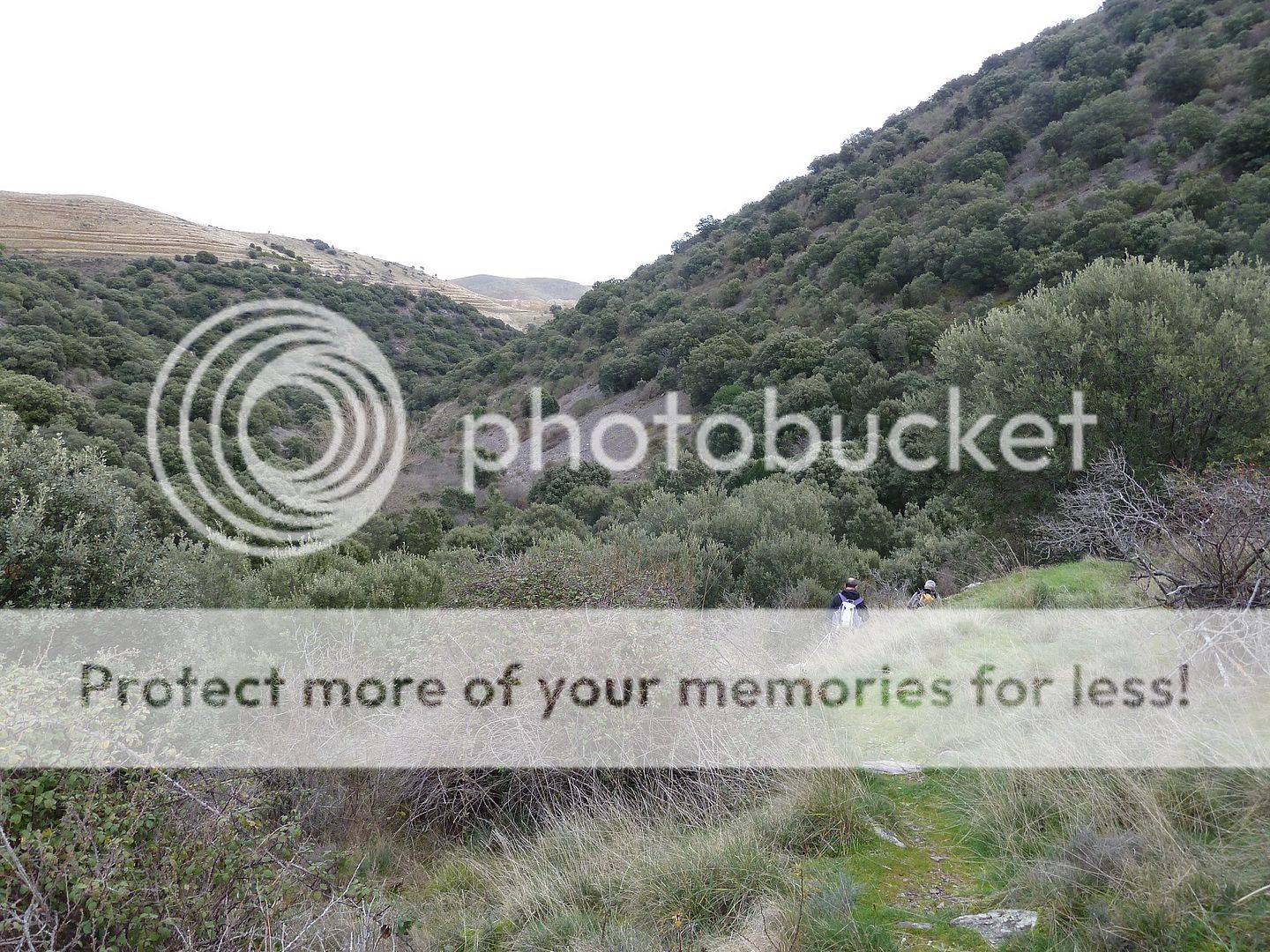 Photo Sharing and Video Hosting at Photobucket