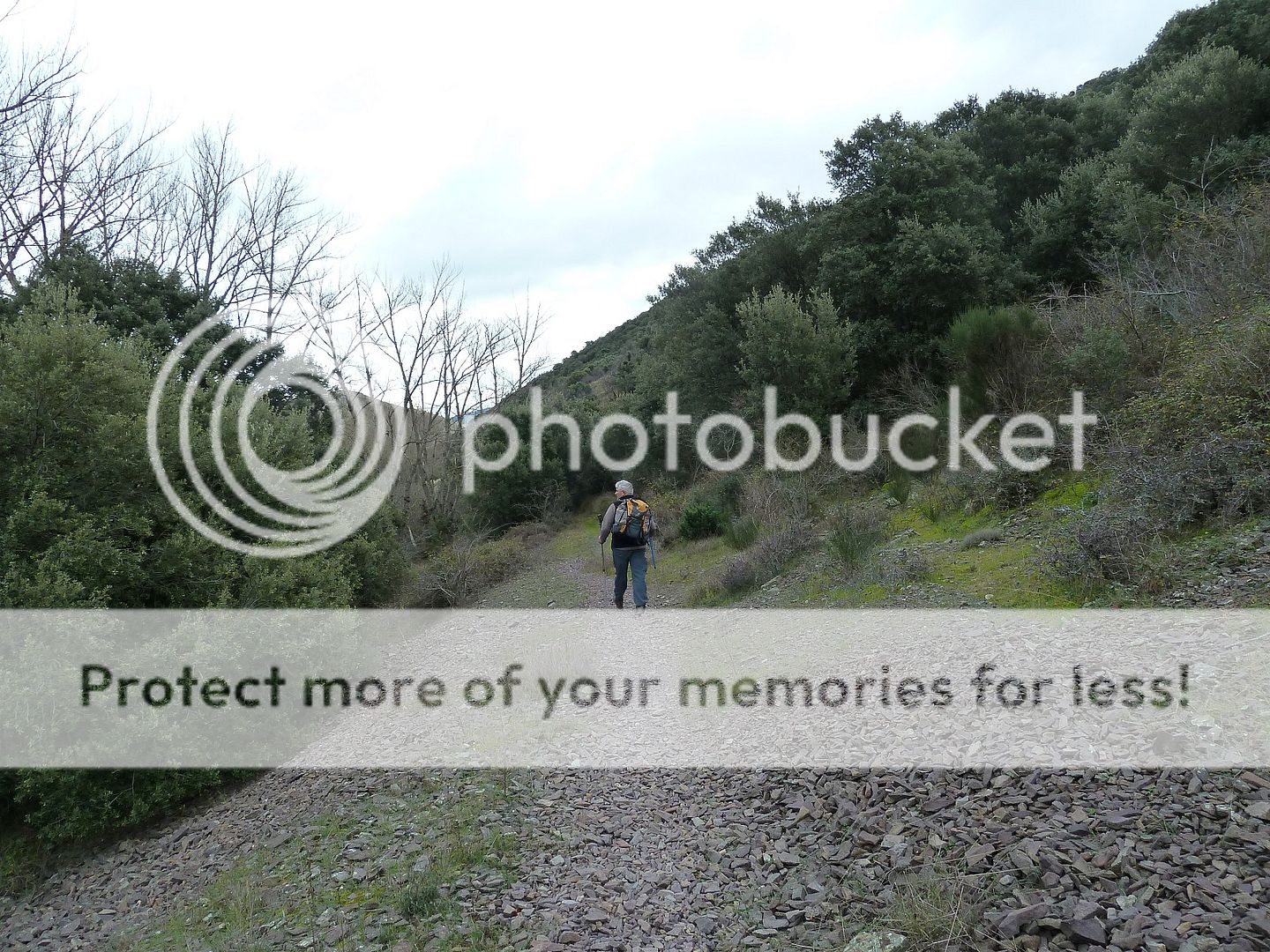 Photo Sharing and Video Hosting at Photobucket