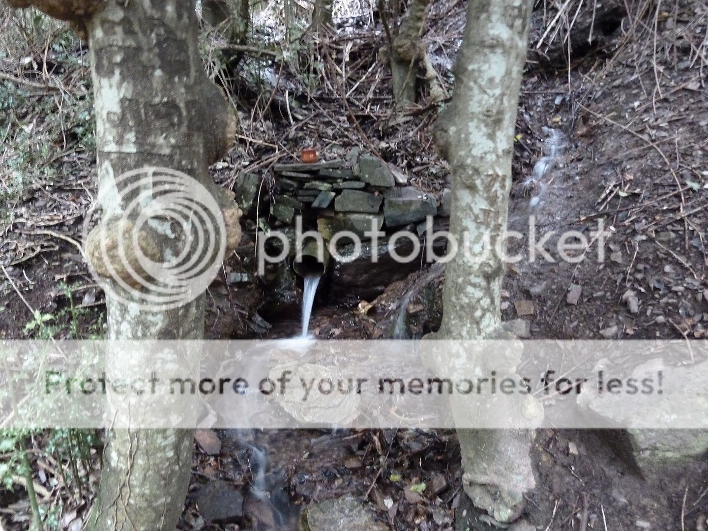 Photo Sharing and Video Hosting at Photobucket
