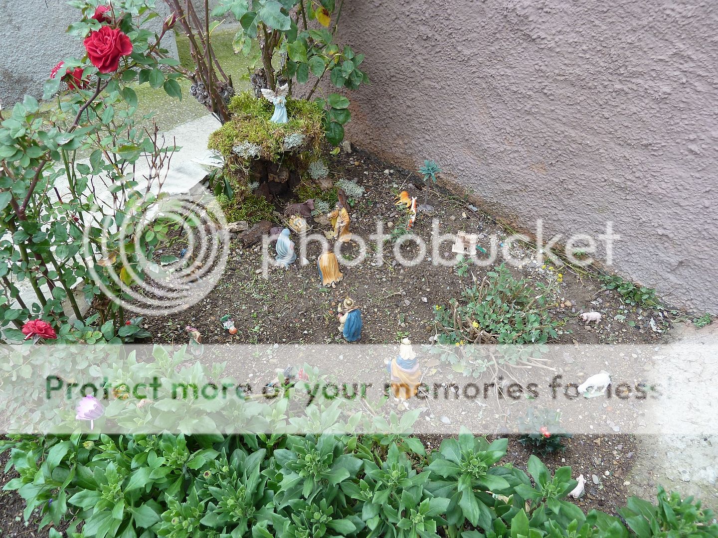 Photo Sharing and Video Hosting at Photobucket