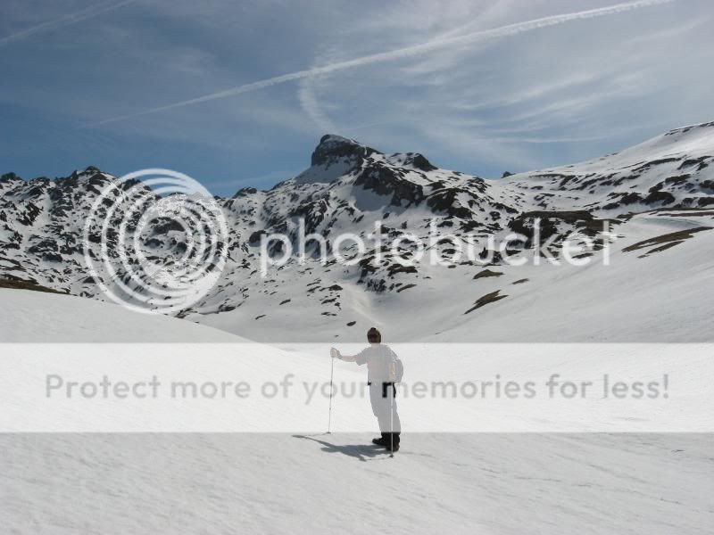 Photo Sharing and Video Hosting at Photobucket
