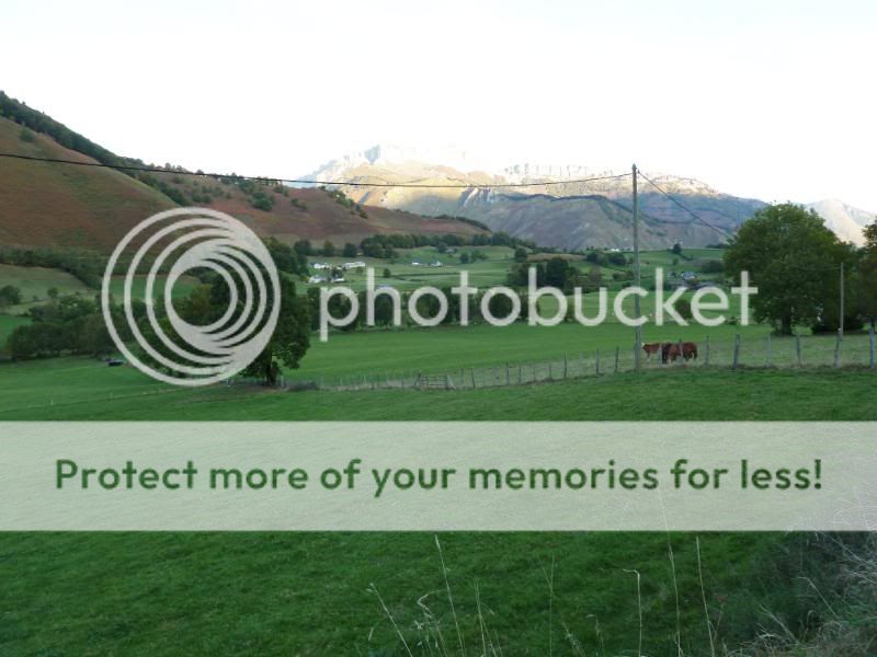 Photo Sharing and otobucVideo Hosting at Phket