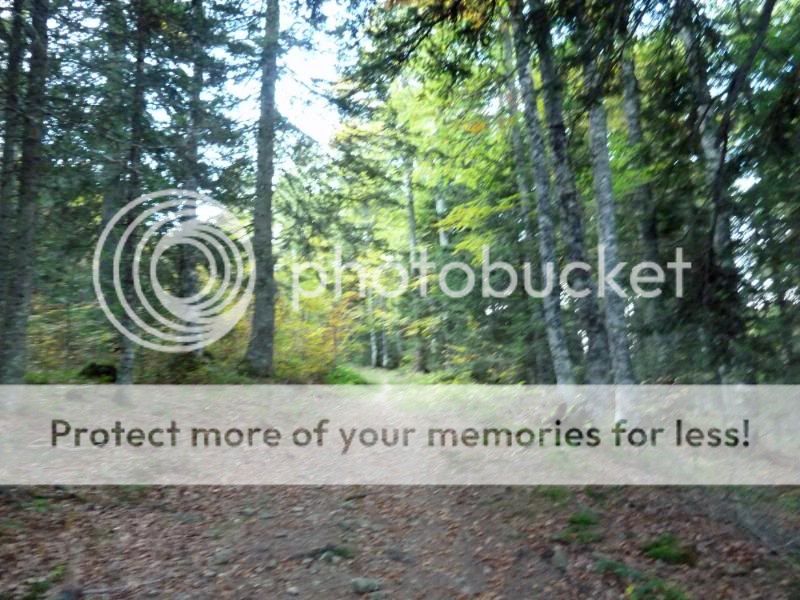 Photo Sharing and otobucVideo Hosting at Phket