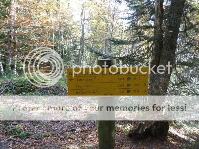 Photo Sharing and otobucVideo Hosting at Phket