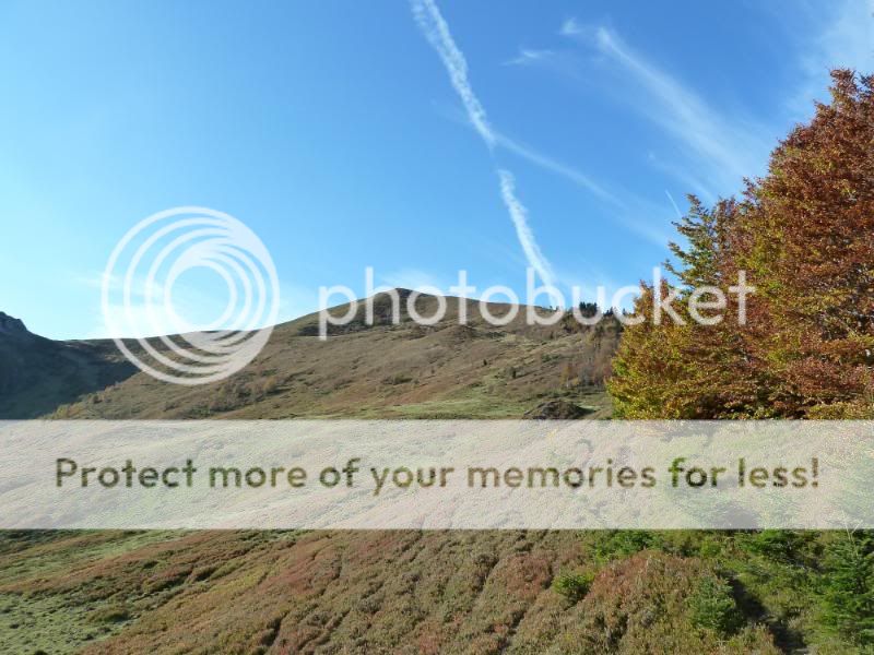 Photo Sharing and otobucVideo Hosting at Phket