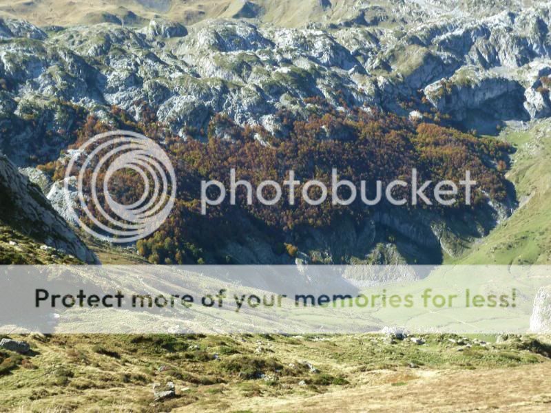 Photo Sharing and otobucVideo Hosting at Phket