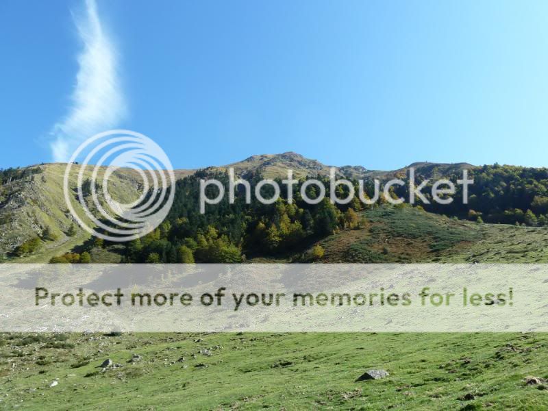 Photo Sharing and otobucVideo Hosting at Phket