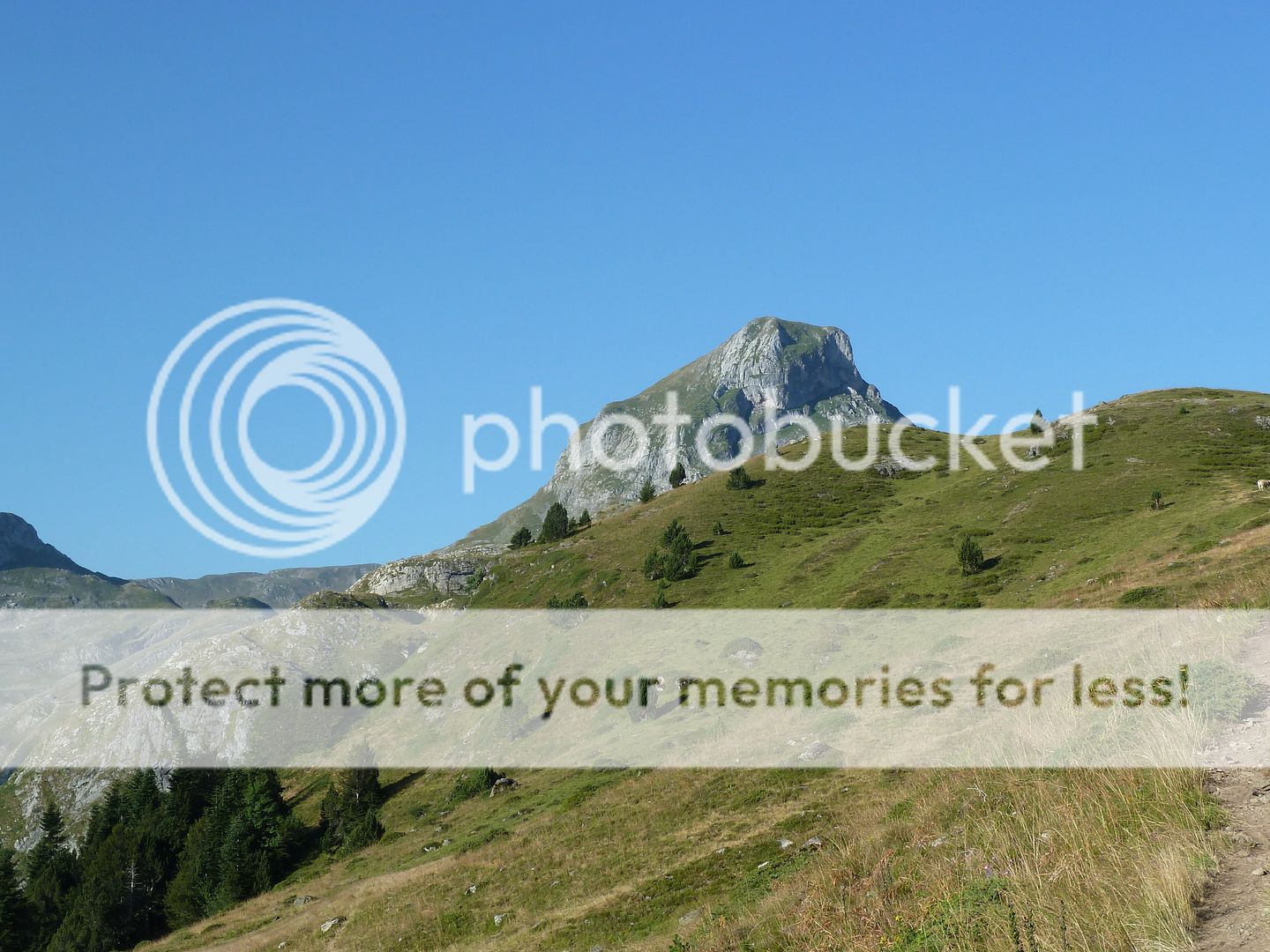 Photo Sharing and Video Hosting at Photobucket
