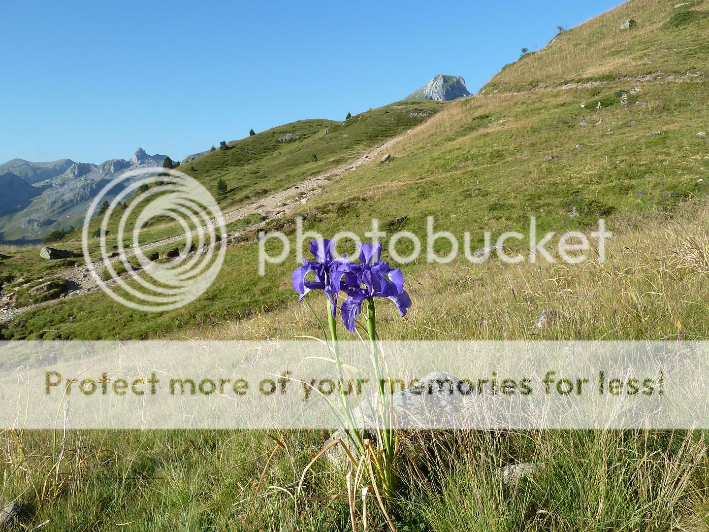 Photo Sharing and Video Hosting at Photobucket