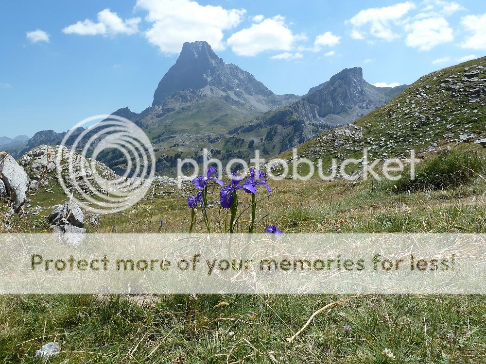 Photo Sharing and Video Hosting at Photobucket