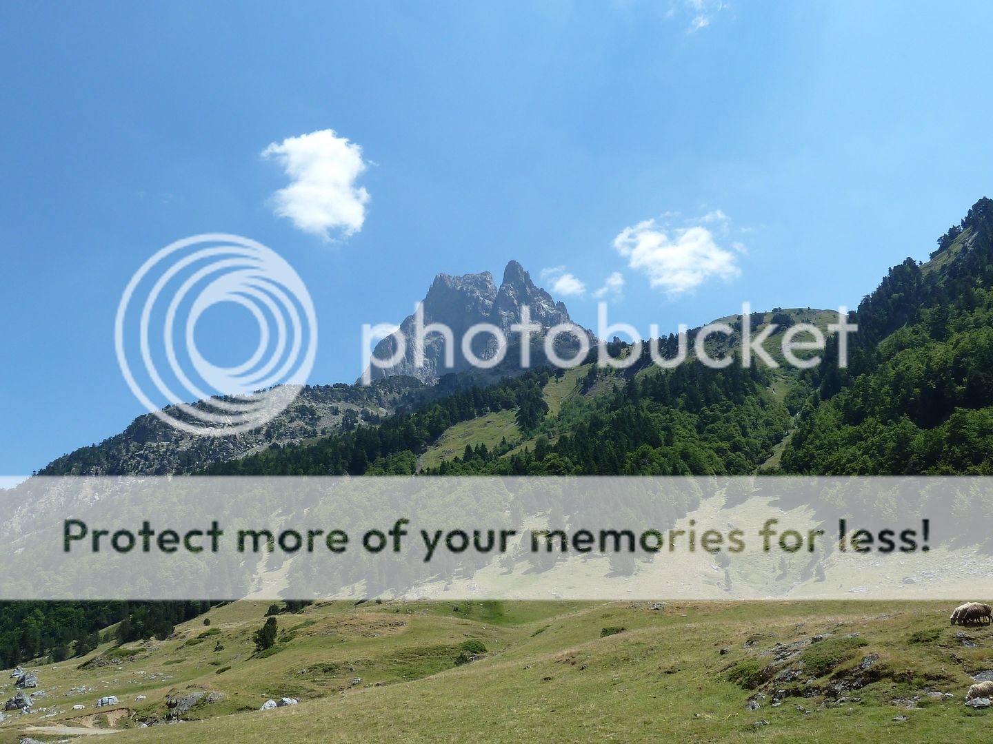 Photo Sharing and Video Hosting at Photobucket