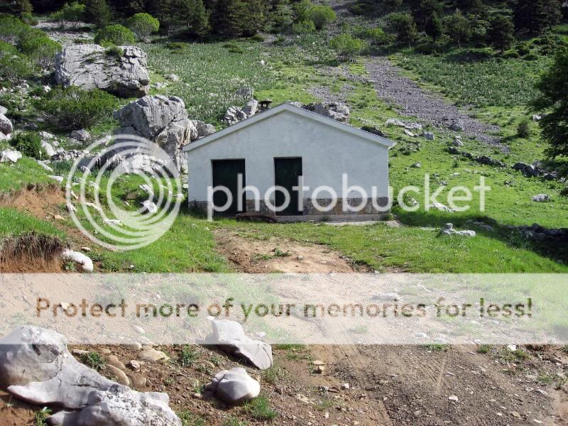 Photo Sharing and Video Hosting at Photobucket