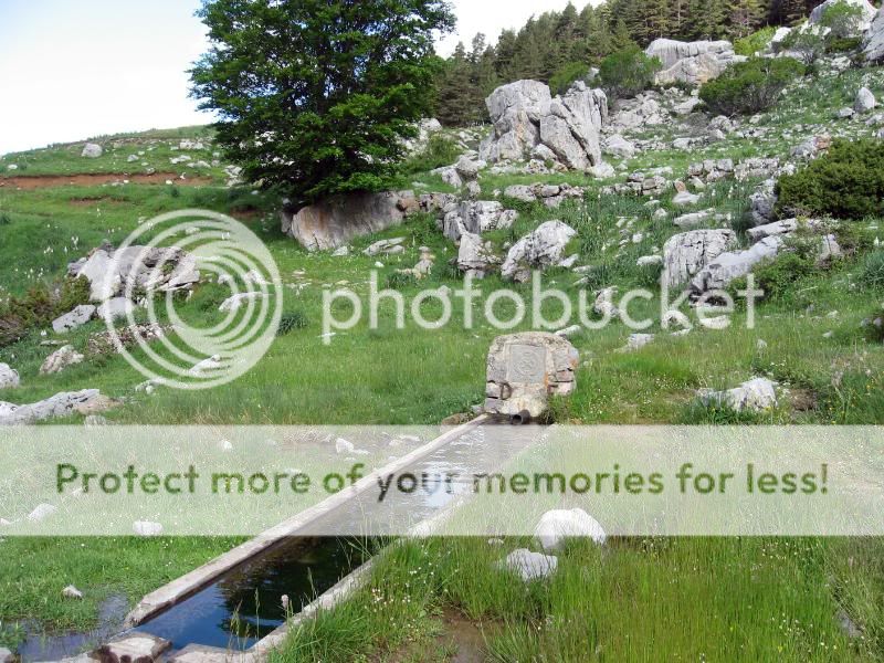 Photo Sharing and Video Hosting at Photobucket